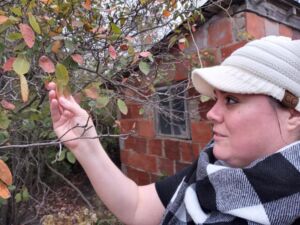 Charlie Touching Scaled - Association of Nature & Forest Therapy