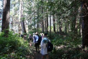 Shin Mei Spiritual Centre - Association of Nature & Forest Therapy