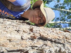 des hugging tree at Valentine - Association of Nature & Forest Therapy