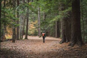 Forest Bathing - Association of Nature & Forest Therapy