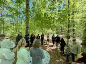 Forest Bathing - Association of Nature & Forest Therapy