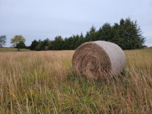 Haybale Scaled - Association of Nature & Forest Therapy