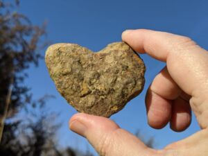 Heart Rock Wide Scaled - Association of Nature & Forest Therapy