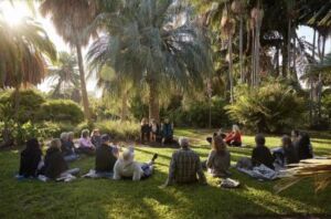 Debra Wilbur - Association of Nature & Forest Therapy
