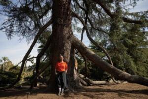 Debra Wilbur - Association of Nature & Forest Therapy