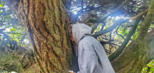 Me Smelling A Tree - Association of Nature & Forest Therapy