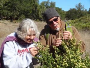 mmvueBjFCs9yMPw XjVJKKwV3FXUHPxeRP7iyGj1RGE - Association of Nature & Forest Therapy