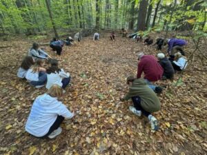 Nature And Forest Therapy - Association of Nature & Forest Therapy