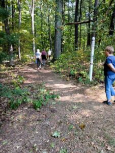 Nature And Forest Therapy - Association of Nature & Forest Therapy