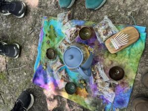 Nature And Forest Therapy - Association of Nature & Forest Therapy