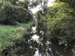Nature And Forest Therapy - Association of Nature & Forest Therapy