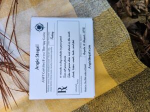 Nature And Forest Therapy - Association of Nature & Forest Therapy