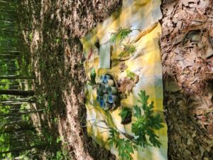Nature And Forest Therapy - Association of Nature & Forest Therapy