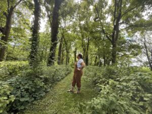 Nature And Forest Therapy - Association of Nature & Forest Therapy