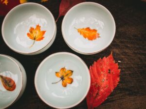 Nature And Forest Therapy - Association of Nature & Forest Therapy