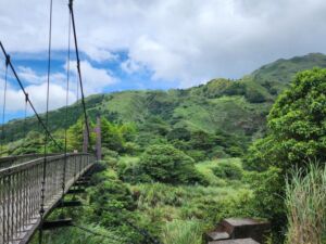 Nature And Forest Therapy - Association of Nature & Forest Therapy
