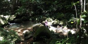 Nature And Forest Therapy - Association of Nature & Forest Therapy