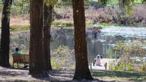 Nature And Forest Therapy - Association of Nature & Forest Therapy