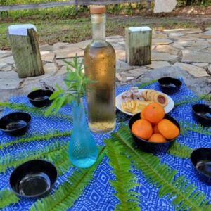 Nature And Forest Therapy - Association of Nature & Forest Therapy