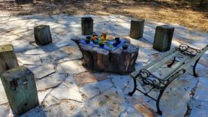 Nature And Forest Therapy - Association of Nature & Forest Therapy