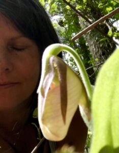 Nature And Forest Therapy - Association of Nature & Forest Therapy