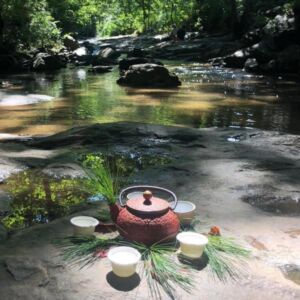 Nature And Forest Therapy - Association of Nature & Forest Therapy