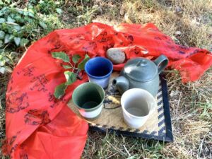 Nature And Forest Therapy - Association of Nature & Forest Therapy