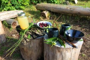 Nature And Forest Therapy - Association of Nature & Forest Therapy