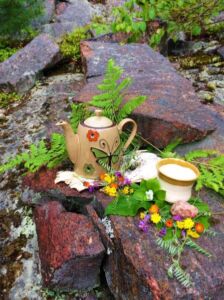 Nature And Forest Therapy - Association of Nature & Forest Therapy