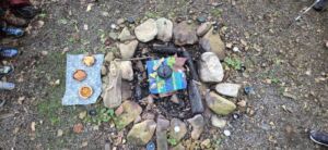 Nature And Forest Therapy - Association of Nature & Forest Therapy
