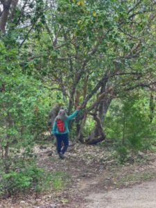 Nature And Forest Therapy - Association of Nature & Forest Therapy