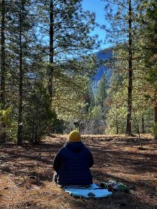 Nature And Forest Therapy - Association of Nature & Forest Therapy