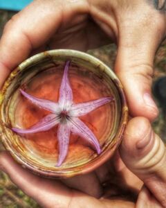 Nature And Forest Therapy - Association of Nature & Forest Therapy