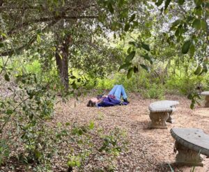 Nature And Forest Therapy - Association of Nature & Forest Therapy