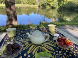 Nature And Forest Therapy - Association of Nature & Forest Therapy