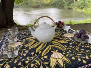 Nature And Forest Therapy - Association of Nature & Forest Therapy