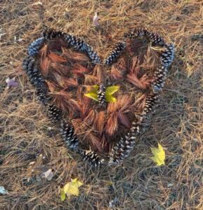 Nature And Forest Therapy - Association of Nature & Forest Therapy