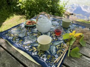 Nature And Forest Therapy - Association of Nature & Forest Therapy