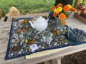 Nature And Forest Therapy - Association of Nature & Forest Therapy