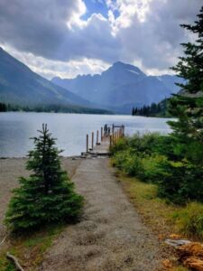 Nature And Forest Therapy - Association of Nature & Forest Therapy