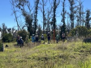 Nature And Forest Therapy - Association of Nature & Forest Therapy