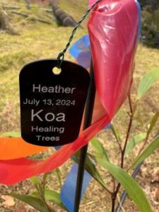 Nature And Forest Therapy - Association of Nature & Forest Therapy