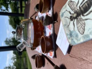 Nature And Forest Therapy - Association of Nature & Forest Therapy