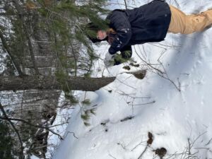 Nature And Forest Therapy - Association of Nature & Forest Therapy