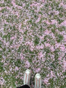 Nature And Forest Therapy - Association of Nature & Forest Therapy