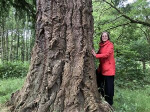 Nature And Forest Therapy - Association of Nature & Forest Therapy