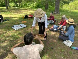 Nature And Forest Therapy - Association of Nature & Forest Therapy