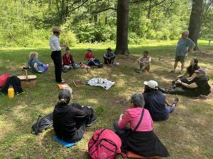 Nature And Forest Therapy - Association of Nature & Forest Therapy