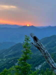 Nature And Forest Therapy - Association of Nature & Forest Therapy