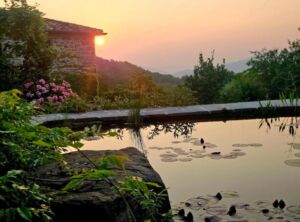 Nature And Forest Therapy - Association of Nature & Forest Therapy